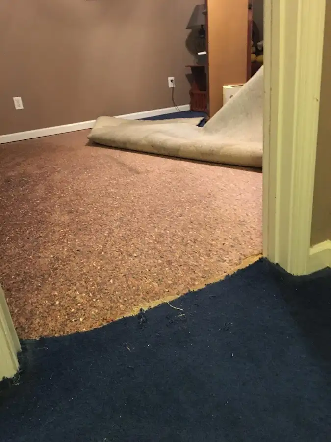 Carpet pad removal revealing water damage during Drying & Dehumidification in Faribault