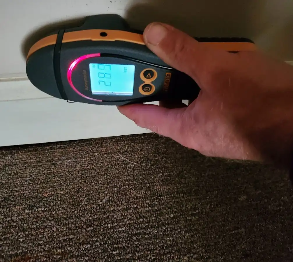 Moisture detection at baseboard during Sewage Cleanup & Sanitation in Faribault